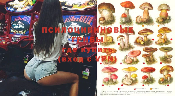твердый Осташков