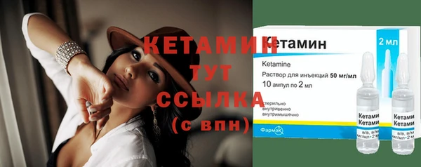 крисы Пересвет