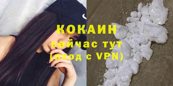 стафф Осинники
