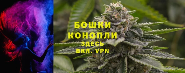 стафф Осинники