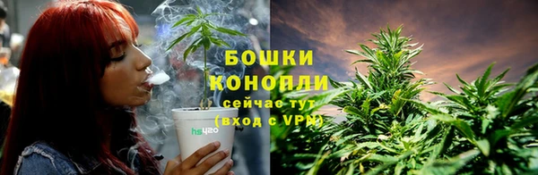твердый Осташков